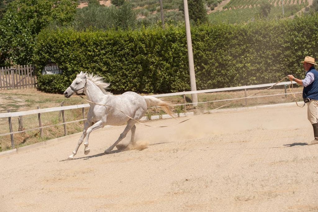 Вилла Podere Il Poggiolo Руфина Экстерьер фото