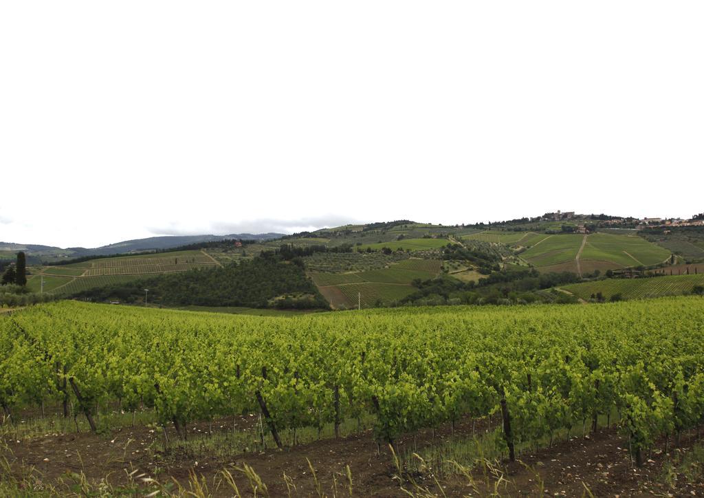 Podere Il Poggiolo Понтассьеве Экстерьер фото