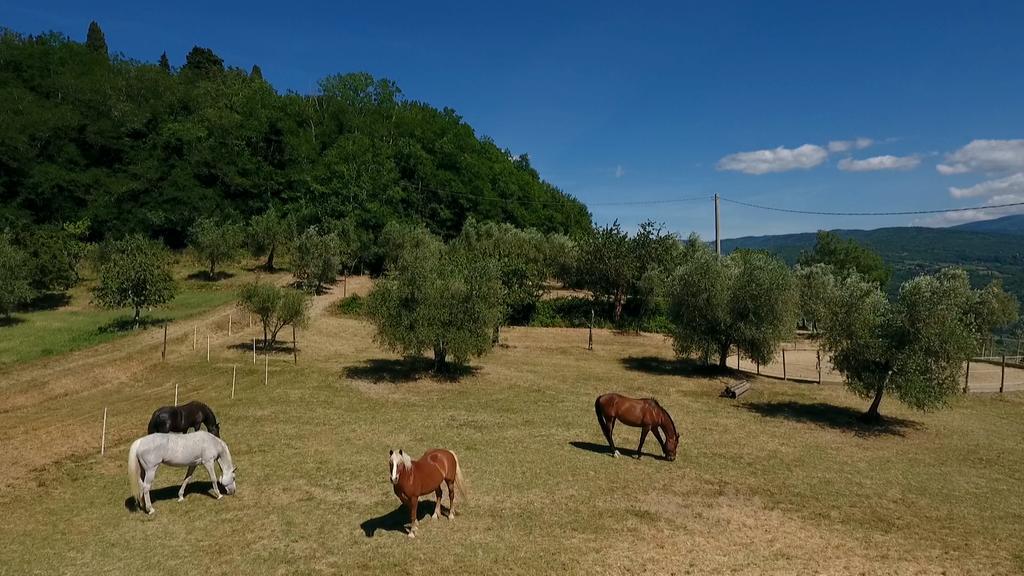 Вилла Podere Il Poggiolo Руфина Экстерьер фото